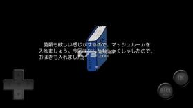 前卫的RPG 2 v1.0.1 游戏下载 截图