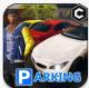 真实停车王游戏下载v1.2