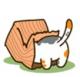 找猫my cat游戏下载v1.0