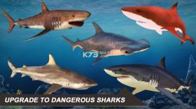 鲨鱼模拟器2018 v1.3 安卓版下载 截图