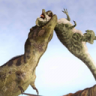 侏罗纪恐龙战斗模拟器 v1 下载
