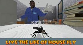 昆虫飞行模拟器3d v1.0.0 下载 截图