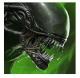 异形Alien Blackout游戏下载v2.0