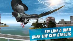 城市鸽子模拟器 v2.5.2 游戏下载 截图