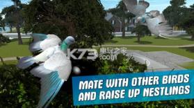 城市鸽子模拟器 v2.5.2 游戏下载 截图