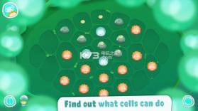 生物细胞 v1.0.18 手游下载 截图