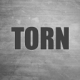 TORN撕裂游戏下载v0.2.13
