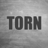 TORN撕裂 v0.2.13 游戏下载
