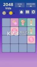 2048 Vida v1.6 游戏下载 截图