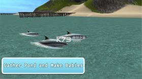 海洋海豚模拟器 v1.11 下载 截图