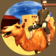 沙漠骆驼模拟器2020年游戏下载v1.0