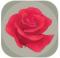 罗莎花园游戏下载