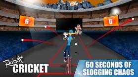 Robot Cricket v1.0.1 游戏下载 截图