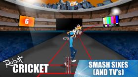 Robot Cricket v1.0.1 游戏下载 截图