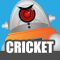 Robot Cricket游戏下载