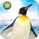 企鹅家庭模拟器南极探险下载v1.0