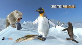 Arctic Penguin v1.0 游戏下载 截图