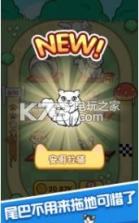 跑跑云养猫 v1.04 游戏 截图