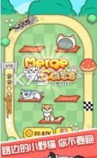 跑跑云养猫 v1.04 游戏 截图