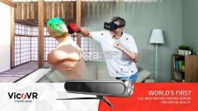 Box Fighter VR v1.22 游戏下载 截图
