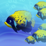 Reef.io v1.0 游戏下载