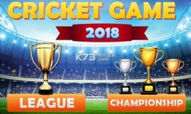 Cricket World Cup Game v1.1 游戏下载 截图