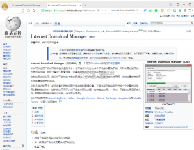 Internet Download Manager v6.32.9.2 中文版下载 截图