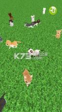 一起来捉猫 v2.5 游戏下载 截图