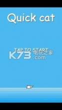 Quick Cat v1.0.0 游戏下载 截图