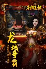 龙麟圣域 v1.20190328 正版 截图