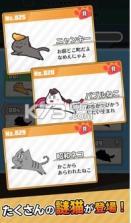 CatBanBan v1.0.0 安卓版下载 截图