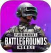 pubgmobile亚服 v3.5.0 最新版下载