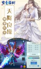 紫青霜剑 v30.3033.1 免费版 截图