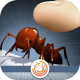 蚂蚁中毒游戏下载v1.0.0.3