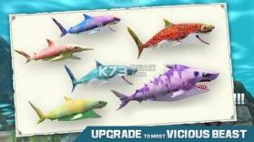 Shark Sim 2019 v1.1 游戏下载 截图