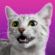 说话的埃及猫下载v1.0.1