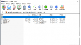 泰拉瑞亚1.3.5.3神端 下载 截图