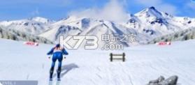 Alpine skiing champion v1.0 游戏下载 截图