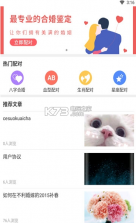 人人配对 v1.0 app下载 截图