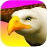 eagle ride v1.0 游戏下载