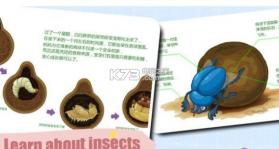 宝宝昆虫世界 v1.3.2 游戏下载 截图