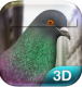 Pigeon Simulator手游下载v1.2