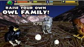终极猫头鹰模拟器 v1 游戏下载 截图