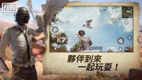 激战场刺激战场 v1.9.1 国际服下载 截图