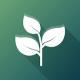 Florarium手游下载v1.0.4