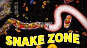 Snake Zone v1.0 游戏下载 截图