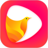 鸽迷 v1.2.9 app下载