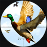 年鸭狩猎季2020 v1.6 下载