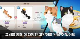 精灵猫咪 v1.0.13 手游 截图