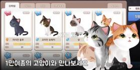 精灵猫咪 v1.0.13 手游 截图